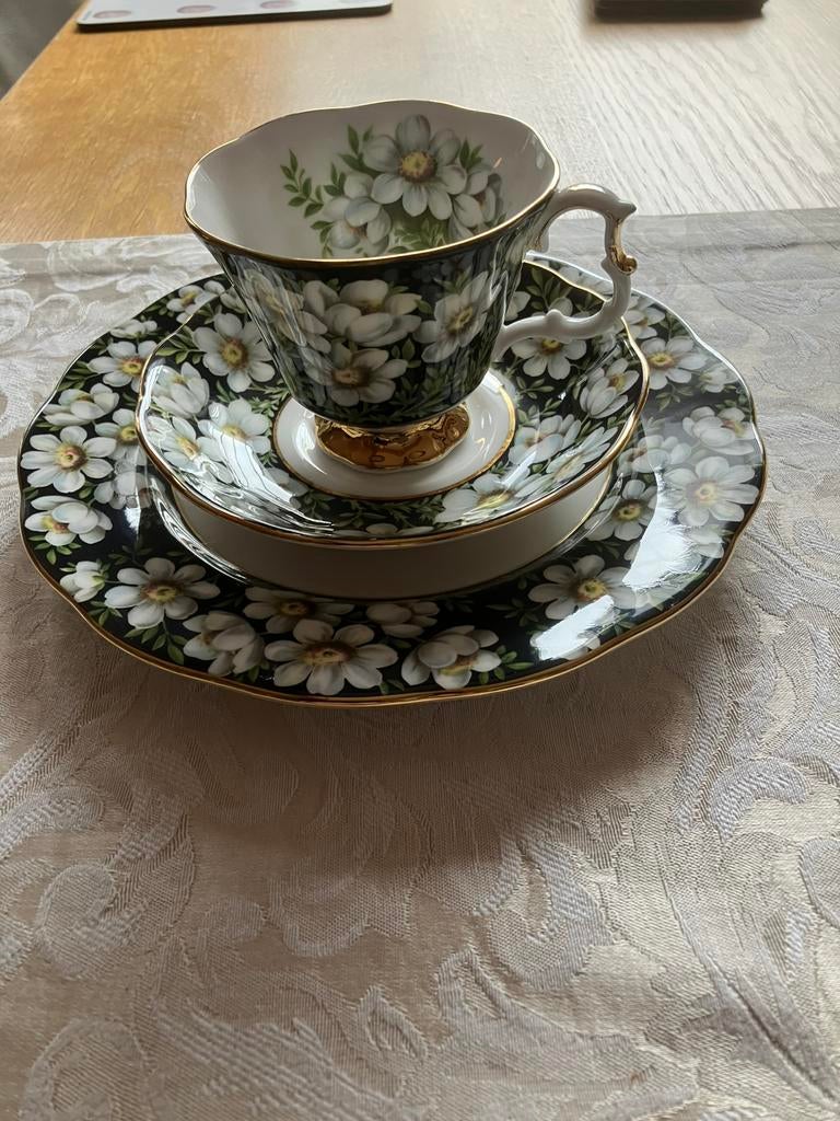 Dejeuner Royal Albert, Ophalen of Verzenden