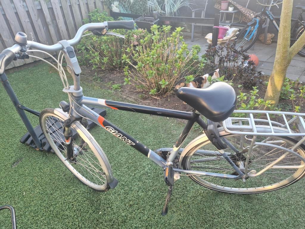 Giant fiets met versnellingen en bagagedrager, Gebruikt, Versnellingen, 53 tot 57 cm, Giant
