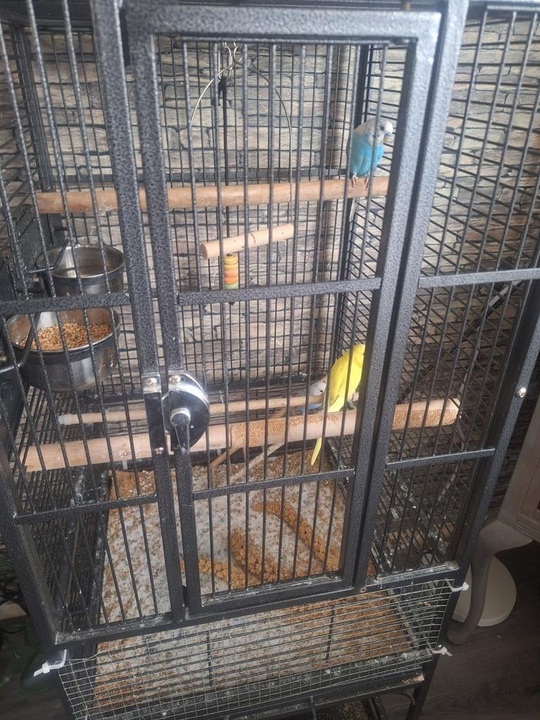 Parkieten, Dieren en Toebehoren, Ophalen of Verzenden, Zo goed als nieuw, Metaal, Vogelkooi