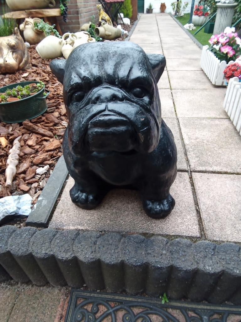 Bulldog polyester 40x33 cm, Ophalen, Kunststof