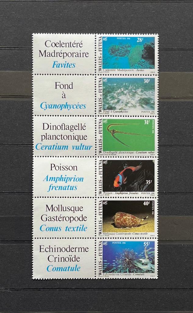 Wallis Futuna 1981 Postfris Zeeleven Vissen Schelpen Koraal, Ophalen of Verzenden, Postfris, Dier of Natuur