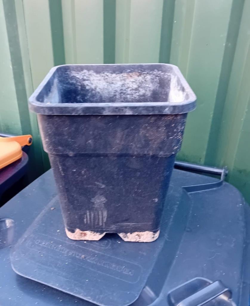 Kweek Potten 11L, Ophalen