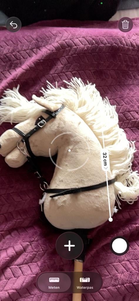 Hobbyhorse met speciaal hoofdstel - 32 cm, Ophalen, Jongen of Meisje