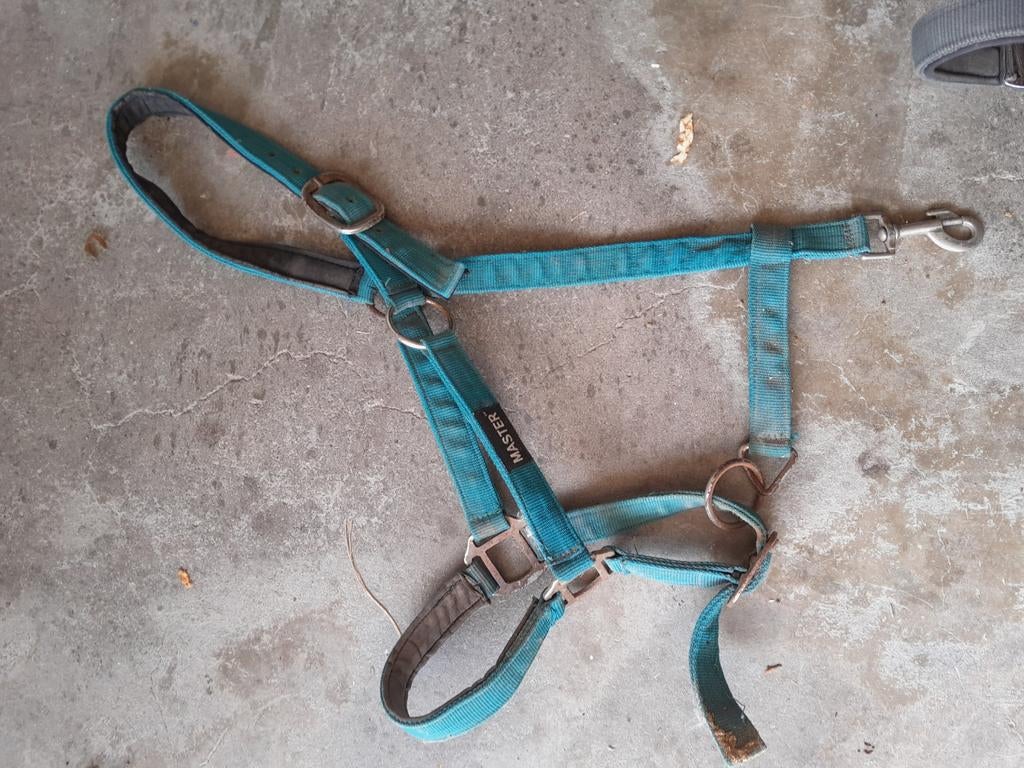 Halsters en vliegen frontriemen, Ophalen of Verzenden, Overige soorten