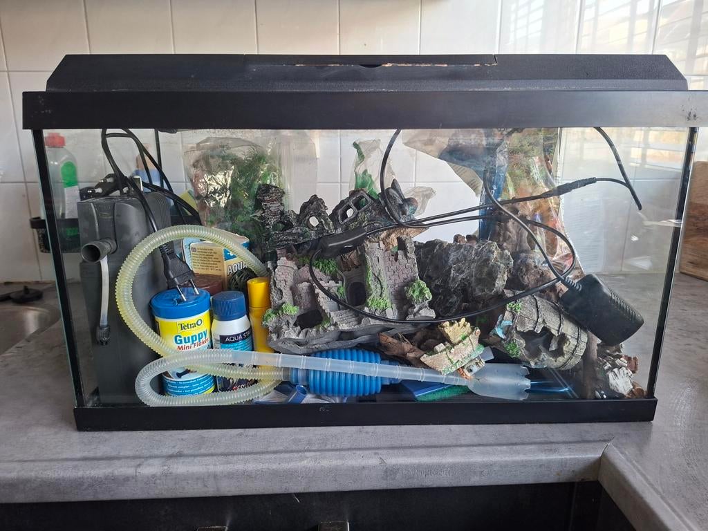 Aquarium met alle benodigheden, Dieren en Toebehoren, Vissen | Aquaria en Toebehoren, Ophalen, Leeg aquarium