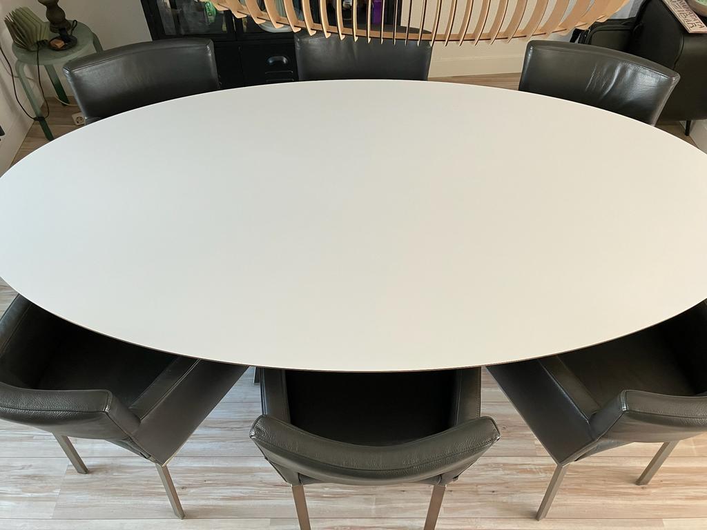 Design ovale eettafel (Pot) met 6 leren stoelen (Foucault), Huis en Inrichting, Tafels | Eettafels, Zo goed als nieuw, 100 tot 150 cm