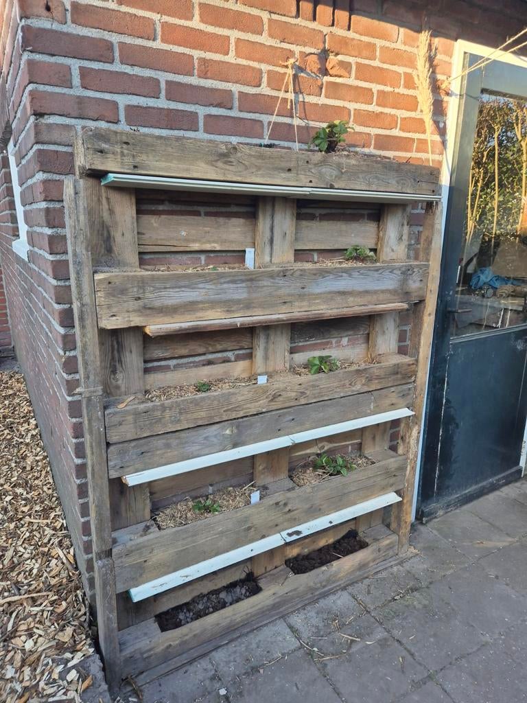 2 gratis pallets voor aardbeienbakken met worteldoe, Ophalen, Gebruikt, 100 cm of meer, Balkon