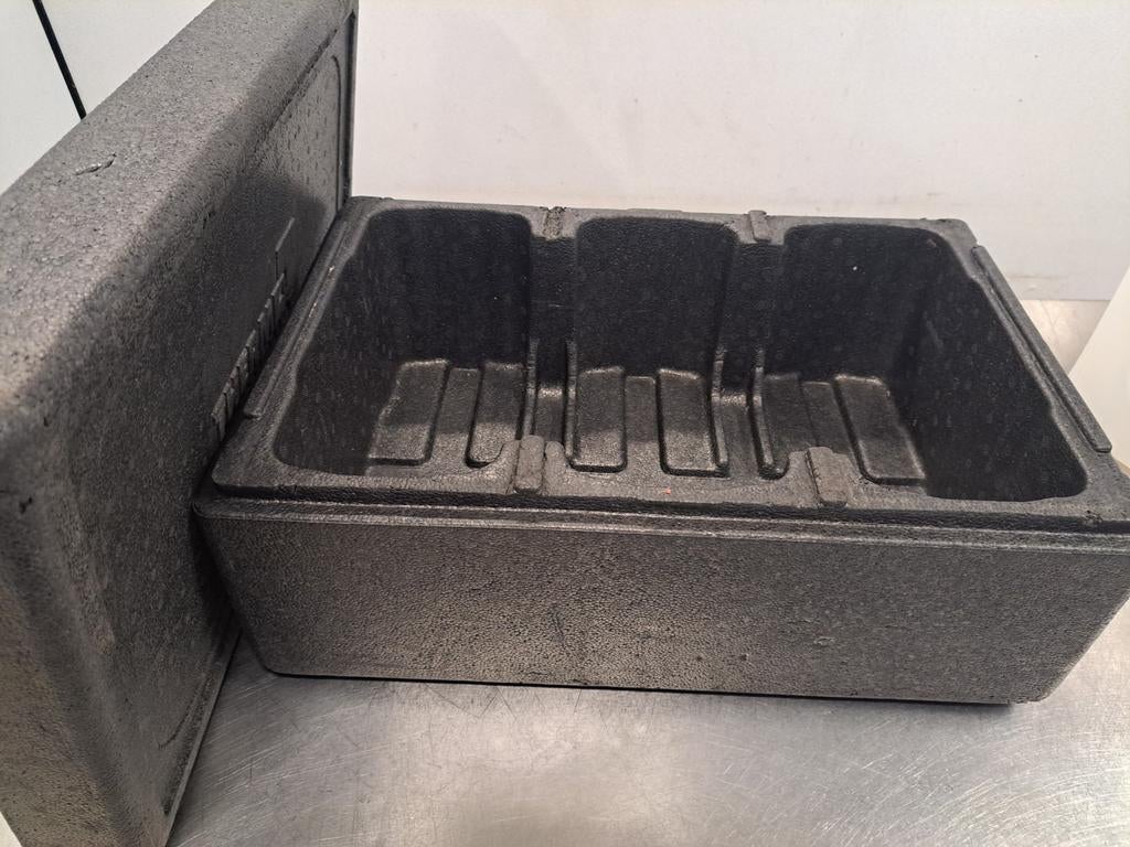Tempex koelboxen (met inham RVS-5L-bakken), Ophalen of Verzenden, Gelezen