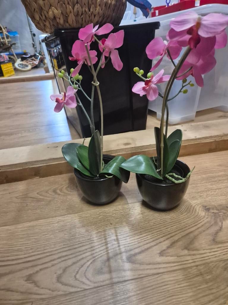 Kunst orchideeën roze met zwarte bloempotten, Huis en Inrichting, Woonaccessoires | Kunstplanten en Kunstbloemen, Ophalen of Verzenden