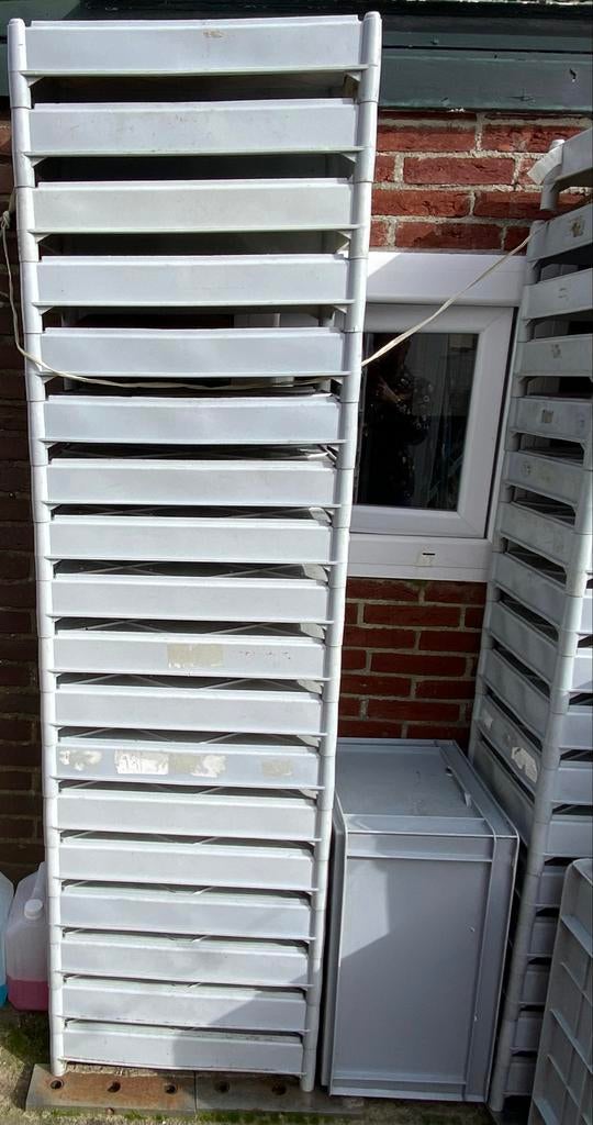 Gratis Stapelbare Bakkerijkratten 60x40 cm, Ophalen, Gebruikt, 40 tot 60 cm, 50 tot 75 cm