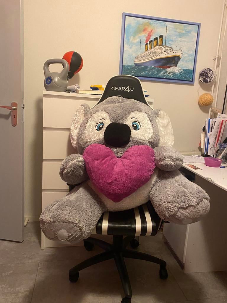 XXL knuffel met hartje., Ophalen, Zo goed als nieuw, Overige typen