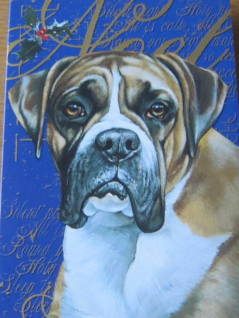 nieuwe dubbele kerstkaart met afbeelding van boxer, Ophalen of Verzenden, Nieuw