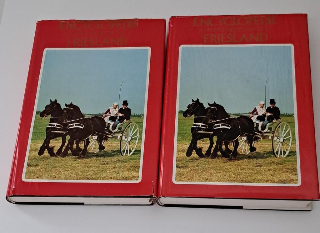 encyclopedie van het hedendaagse Friesland, Boeken, Encyclopedieën, Ophalen of Verzenden, Gelezen, Algemeen
