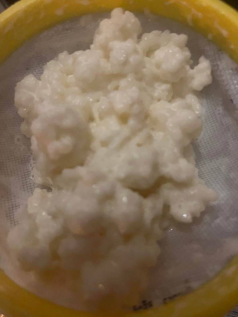 Melkkeffir Korrels, Ophalen