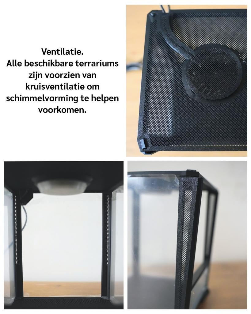 Terrariums met LED & warmtemat | voor spinnen & insecten, Dieren en Toebehoren, Insecten en Spinnen, Spin of Schorpioen