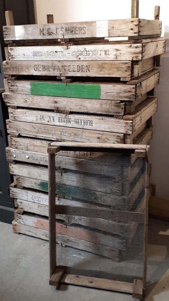 gaasbakken / bollenbakken / bollenkisten / moestuin bakken, Tuin en Terras, Ophalen, Gebruikt