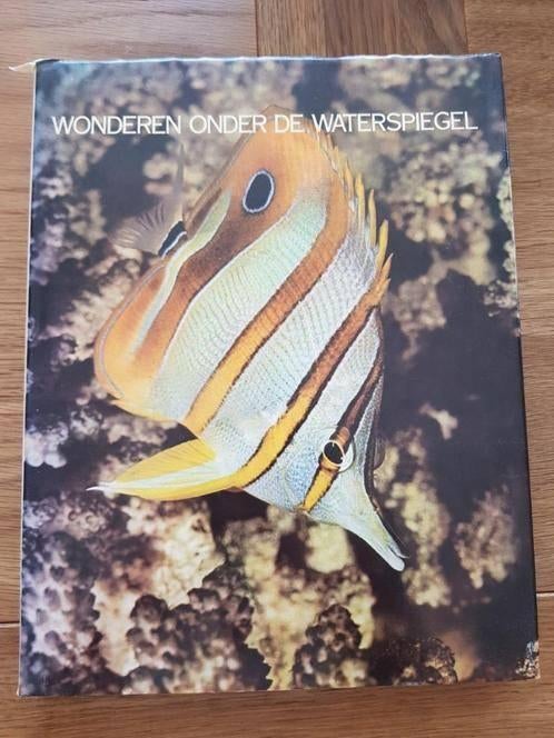 Lekturama encyclopedie dierenwereld: vissen, Ophalen of Verzenden, Gelezen, Dieren, Los deel