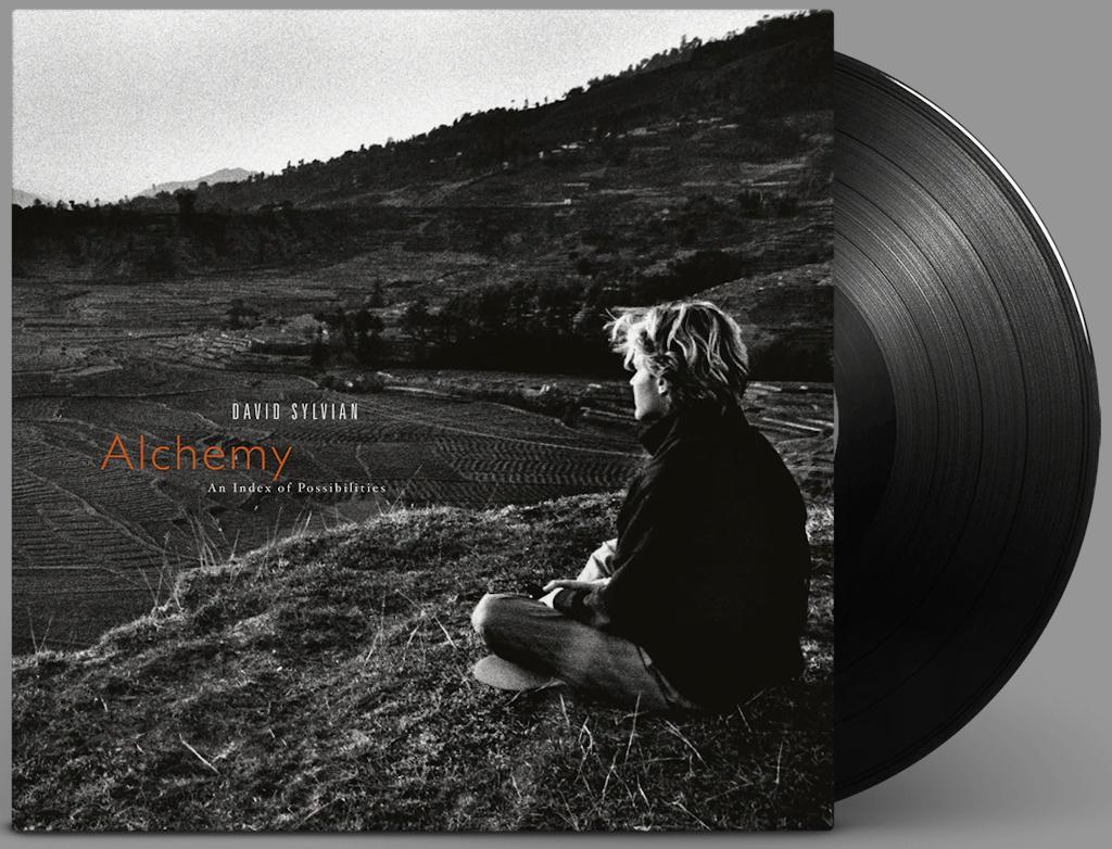 Vinyl LP David Sylvian Alchemy An Index Of Possibilities NEW, Ophalen of Verzenden, Nieuw in verpakking, 12 inch