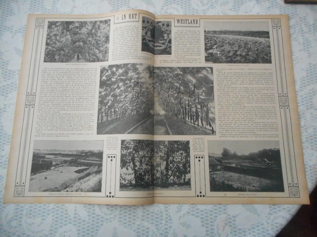 In het Westland. 1911., Ophalen of Verzenden, Voor 1920, Nederland, Knipsel(s)