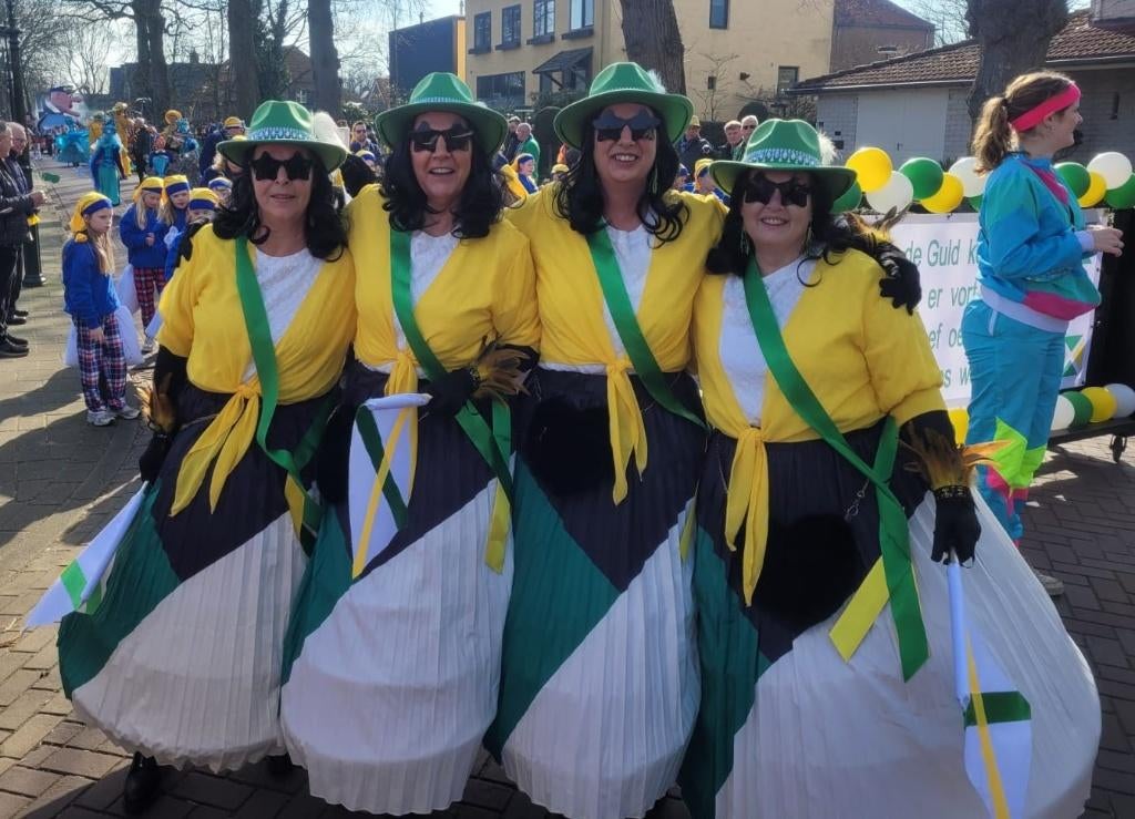 carnaval loopgroep, Kleding | Dames, Carnavalskleding en Feestkleding, Gedragen, Kleding, Carnaval, Maat 46/48 (XL) of groter