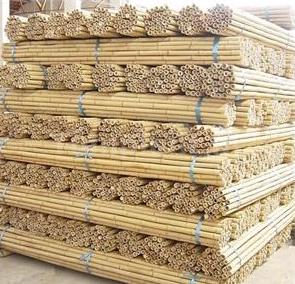 Bamboestokken 270cm 25 stuks, Ophalen, Nieuw, 250 cm of meer, Overige typen