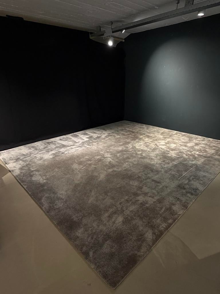 Van Besouw Grijs vloerkleed, Ophalen, Gebruikt, 200 cm of meer, Grijs