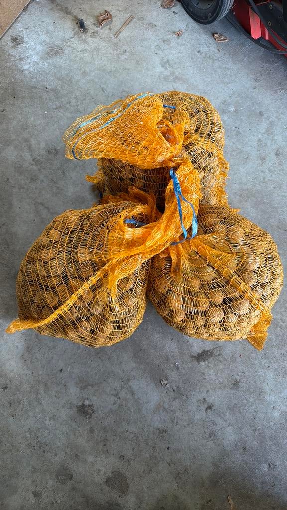 2 zakken walnoten á 5 kilo per zak, oogst 2025, Diversen, Levensmiddelen, Ophalen