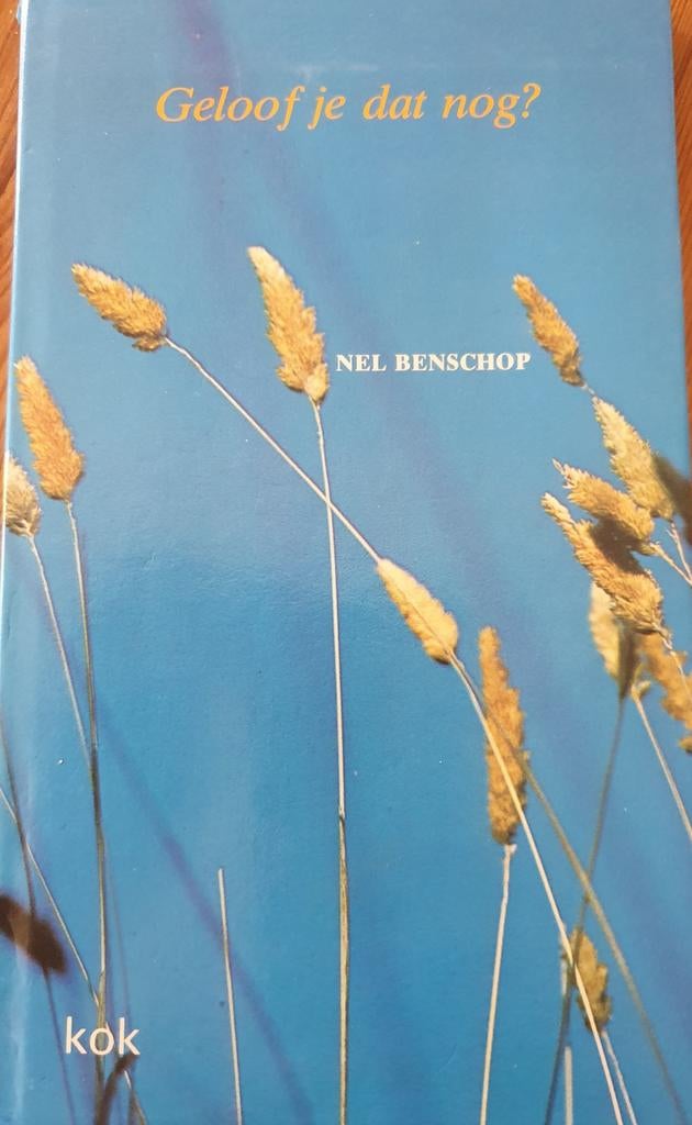 Geloof je dat nog, Nel Benschop, Ophalen of Verzenden, Zo goed als nieuw, Nel Benschop, Christendom | Protestants