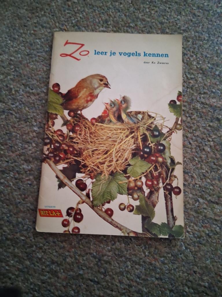 Zo leer je vogels kennen Rizla, Ophalen of Verzenden, Volwassene