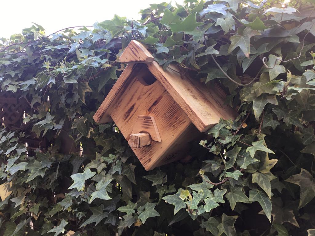 Vogel Huisje ( nestkastje ) NIEUW 2 x, Dieren en Toebehoren, Ophalen of Verzenden, Zo goed als nieuw