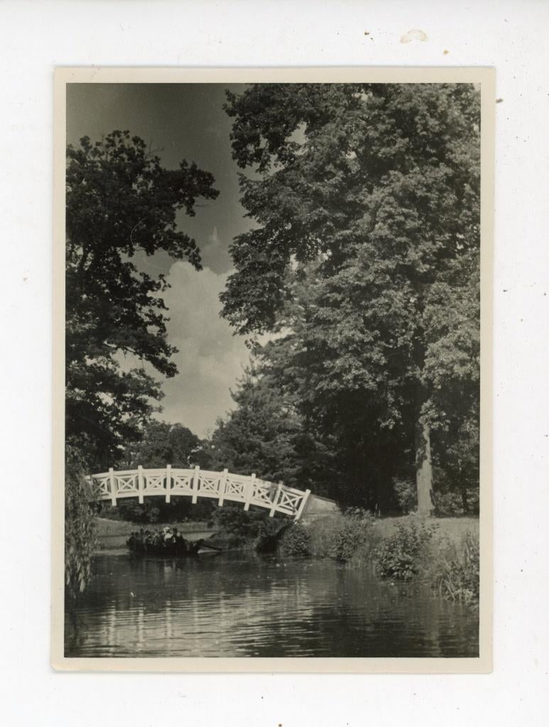 K148; foto 8x 12 cm, Natuur, Verzenden, Foto, Zo goed als nieuw