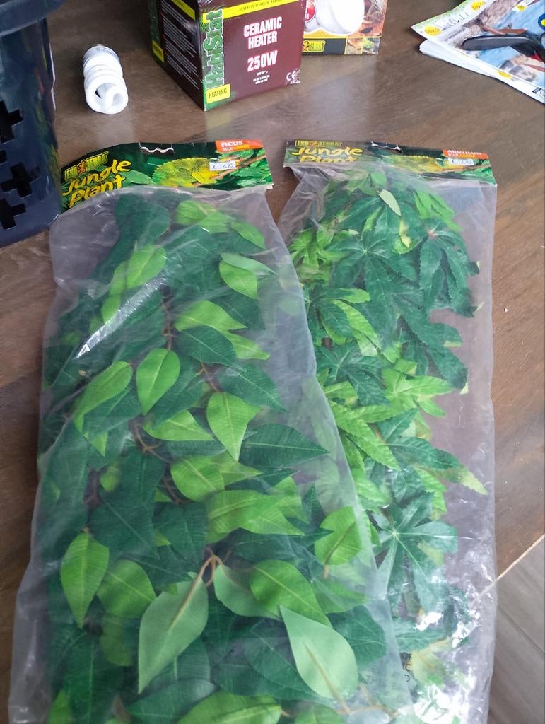 Dit zijn kunst planten voor een terrarium, Ophalen of Verzenden, Zo goed als nieuw, Tak, Plant, Rots of Steen