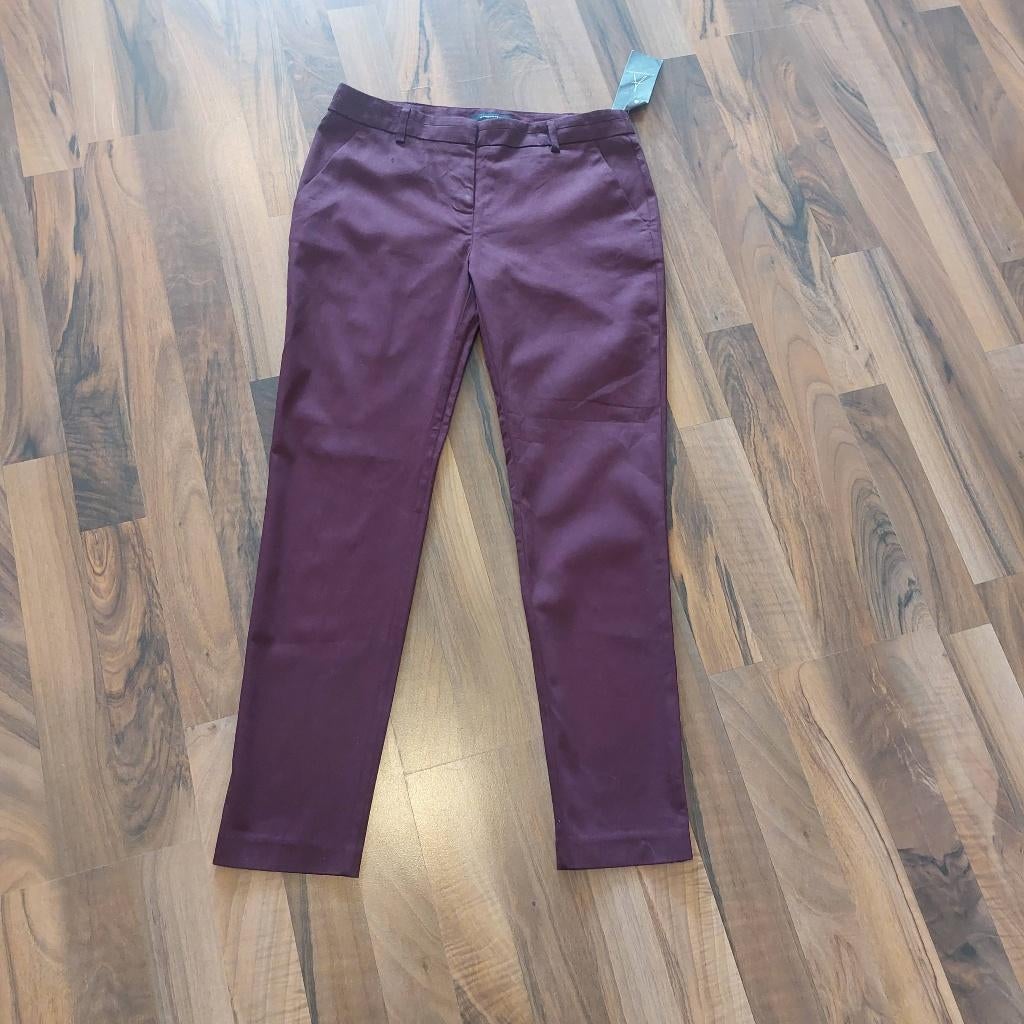 Wijnrode broek van Primark, Maat 34, nieuwe, Kleding | Dames, Broeken en Pantalons, Ophalen of Verzenden, Nieuw, Maat 34 (XS) of kleiner