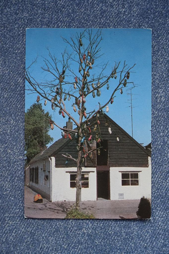 Boxtel. De Klompenboom Klompenmuseum De Patijn, Ophalen of Verzenden, 1980 tot heden, Gelopen, Noord-Brabant