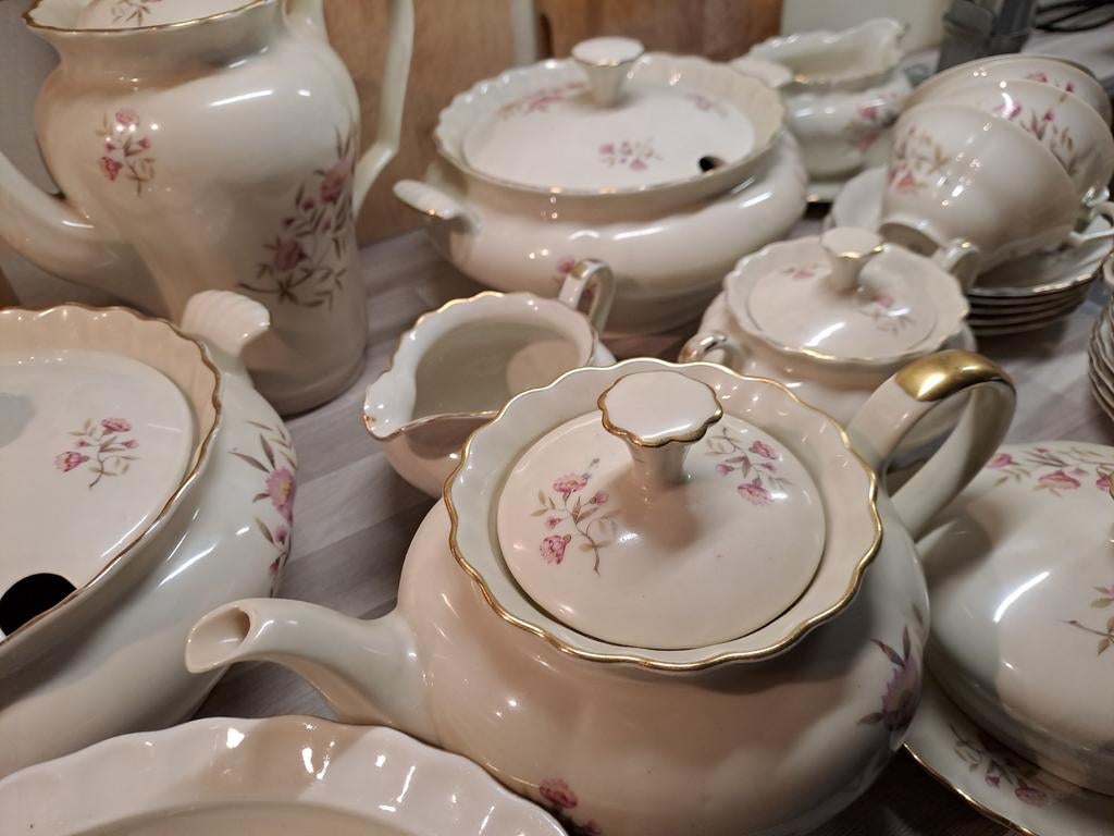 Erg veel oud mosa servies( niet compleet) teab., Ophalen