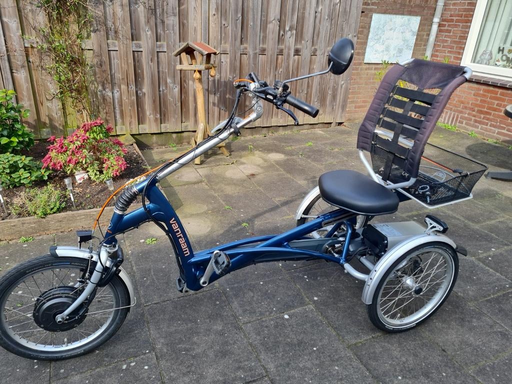 Prachtige elektrische Driewielfiets (Van Raam Easy Rider), Ophalen, Zo goed als nieuw