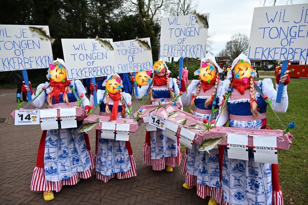 Loopgroep Zomerfeest of  Carnaval, Ophalen, Zo goed als nieuw, Maat 46/48 (XL) of groter, Carnaval