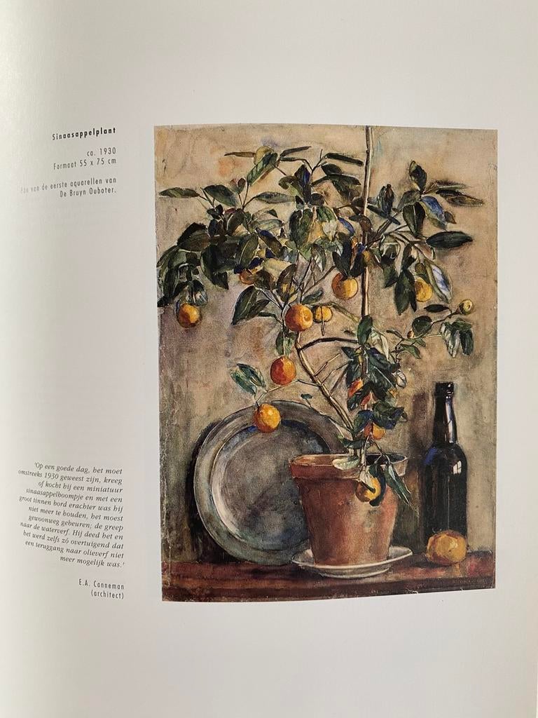 Rudolf de Bruyn Ouboter, Ophalen of Verzenden, Zo goed als nieuw