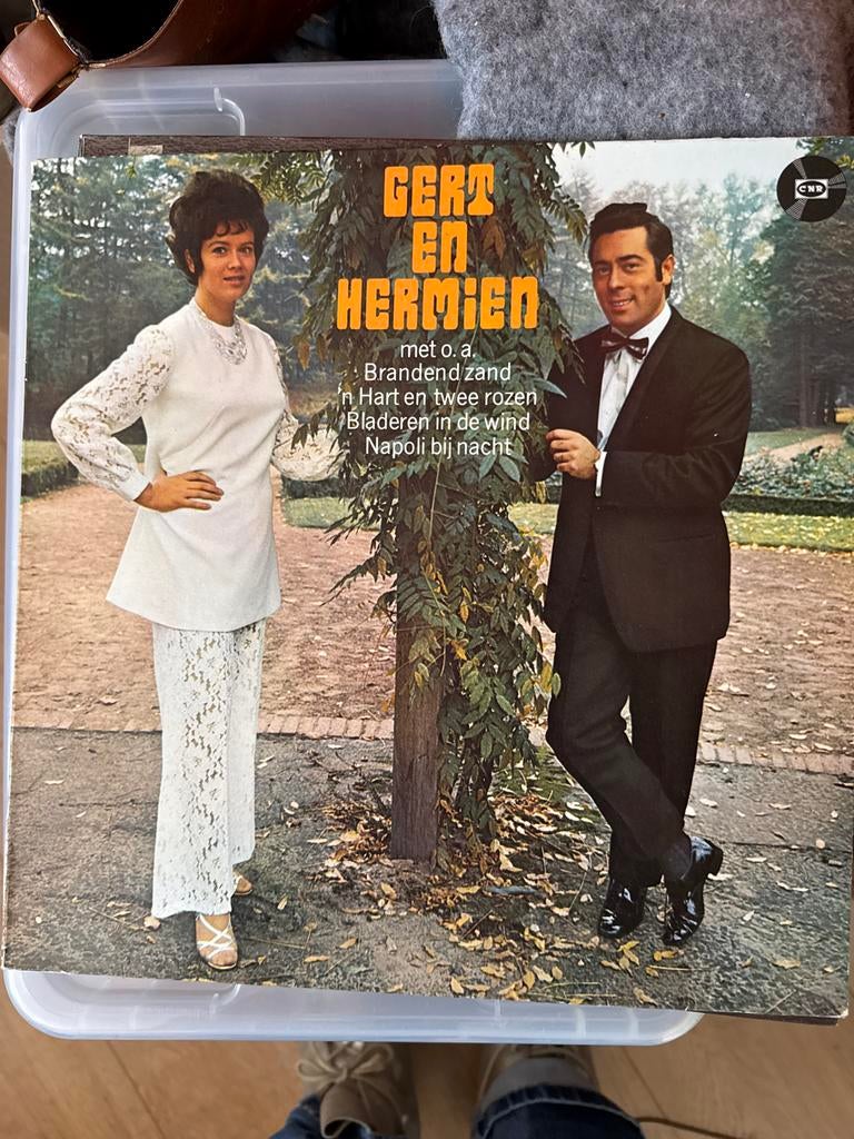 LP van Gert en Hermien - Brandend zand, Ophalen of Verzenden, Gebruikt, 12 inch, Levenslied of Smartlap