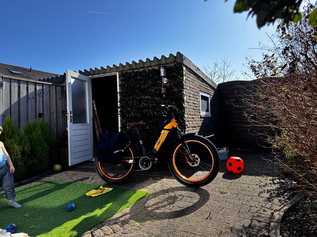 Elektrische fiets te koop – goede staat, Ophalen of Verzenden, Zo goed als nieuw, 50 km per accu of meer, Overige merken