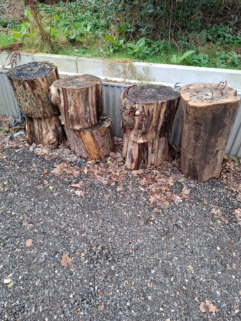 Boomstammen eiken 1,5m3, Minder dan 3 m³, Ophalen of Verzenden