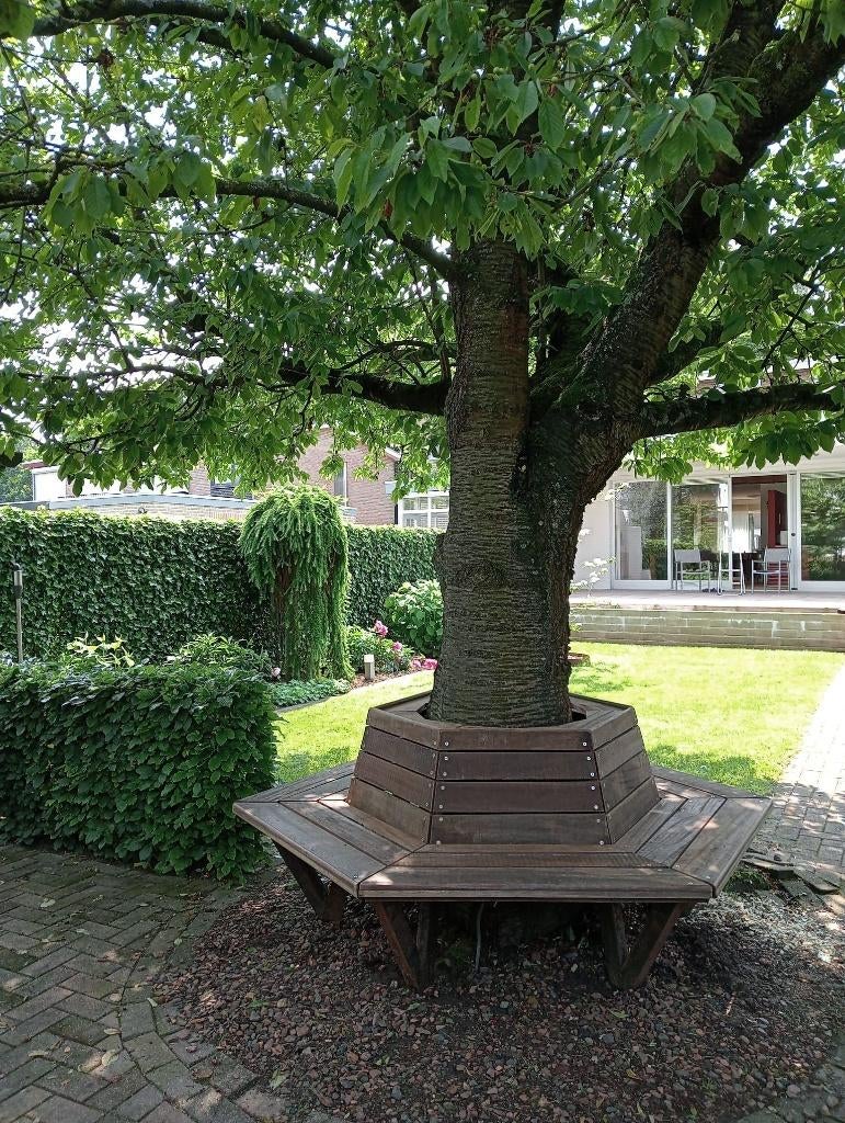 Te koop tuinbank, boombank bananenbank op maat gemaakt, Ophalen, Nieuw, Hout