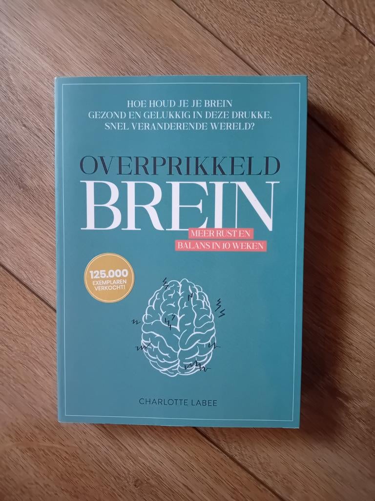 Charlotte Labee - Overprikkeld brein, Boeken, Psychologie, Zo goed als nieuw, Ophalen of Verzenden