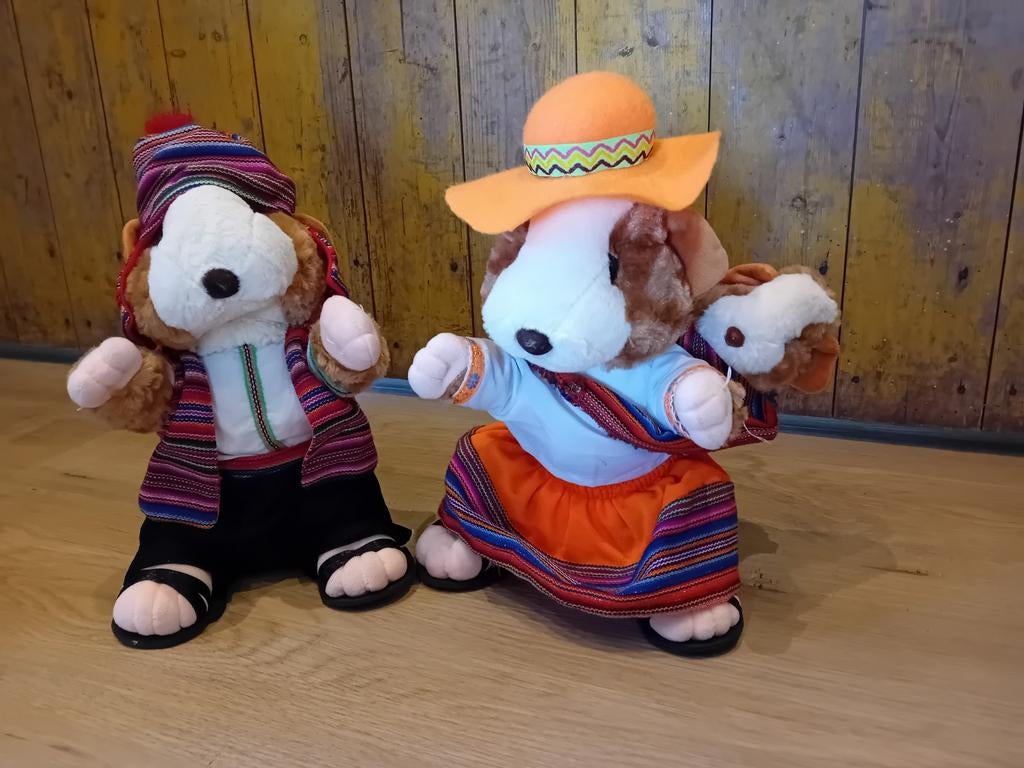 Ecuador Knuffels - Cavia's in traditionele kleding, Ophalen of Verzenden, Zo goed als nieuw, Overige typen
