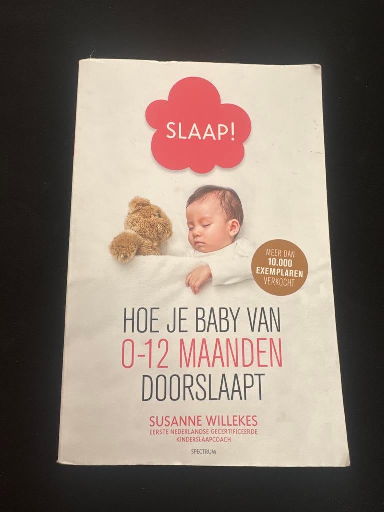 Hoe je baby doorslaapt (0-12 maanden), Boeken, Zwangerschap en Opvoeding, Ophalen of Verzenden, Zo goed als nieuw, Opvoeding tot 6 jaar