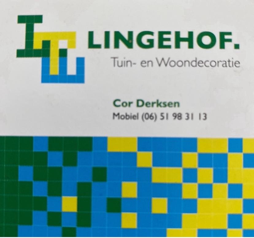 Beuken boog metaal met 2 beuken aanbieding € 99,00, Ophalen of Verzenden, Bloeit niet, Halfschaduw, Overige soorten