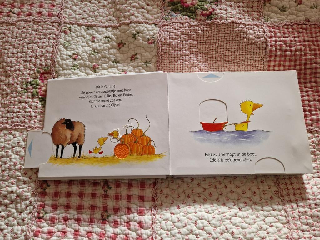 Gonnie en vriendjes zoek en vind boek, Ophalen of Verzenden, Zo goed als nieuw