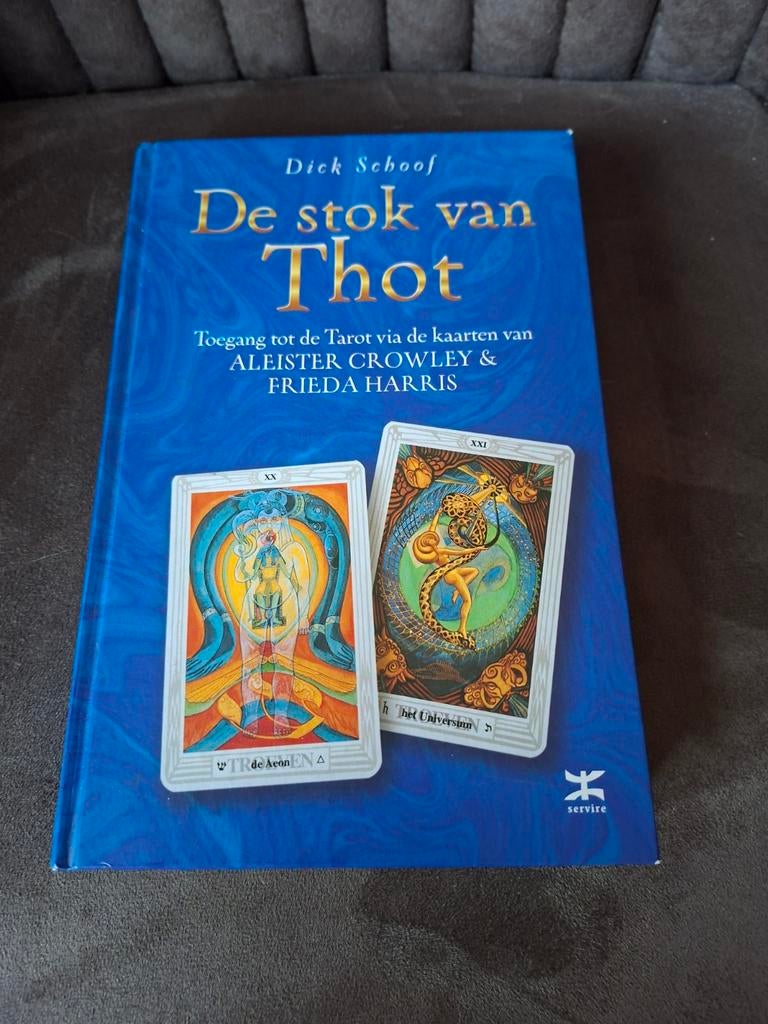 De Stok van Thot - Dick Schoof, Boeken, Achtergrond en Informatie, Tarot of Kaarten leggen, Ophalen of Verzenden, Zo goed als nieuw