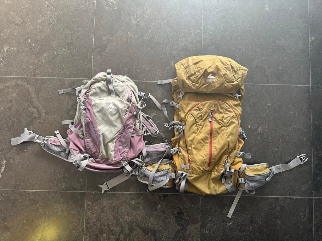 Gregory Dames- en Herenrugzak (35L & 25L), Overige merken, 40 cm of meer, Gebruikt, Ophalen of Verzenden