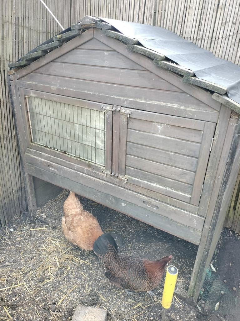 Kippenhok, Ophalen, Gebruikt, Kippenhok of Kippenren